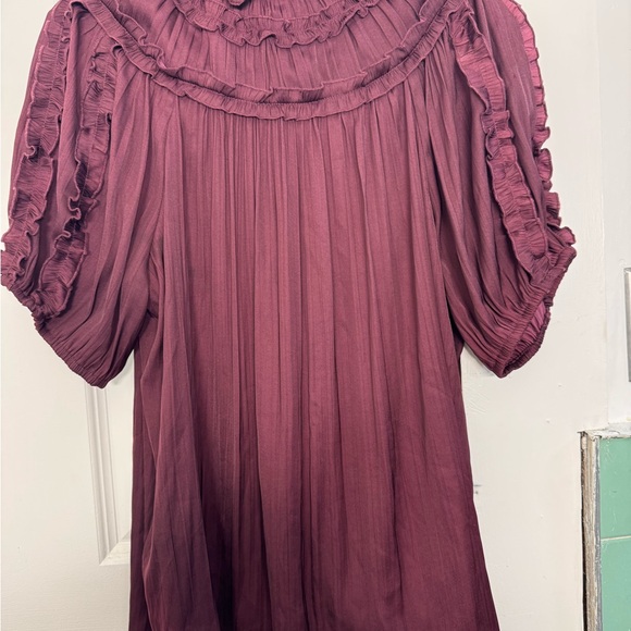 Anthropologie Plum Ruffled Blouse - Picture 4 of 6